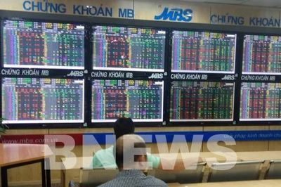 VN-Index giảm nhẹ, một mã ngân hàng đảo chiều từ sàn lên trần