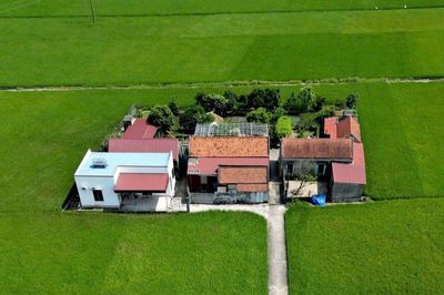 Chuyện lạ Ninh Bình, 'cả làng' chỉ 4 ngôi nhà nằm lọt thỏm giữa đồng lúa mênh mông đẹp hơn phim