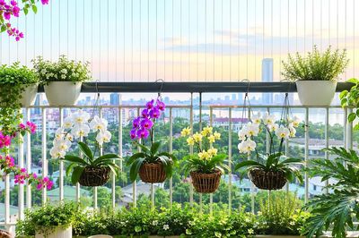 Mùa thu tròn đầy trong căn hộ một người