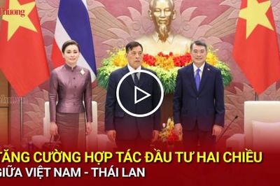 Tăng cường hợp tác đầu tư hai chiều giữa Việt Nam - Thái Lan