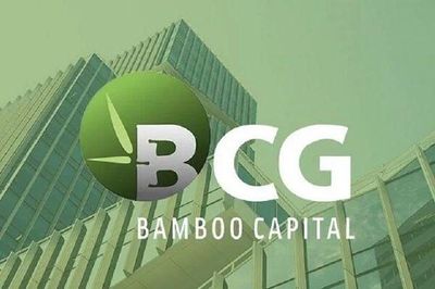 ĐHĐCĐ Bamboo Capital bất thành, phương án thoái vốn và phát hành 400 triệu cổ phiếu chưa thể thông qua