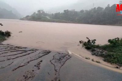 Mưa lũ làm hơn 1.000 ha lúa, hoa màu bị thiệt hại