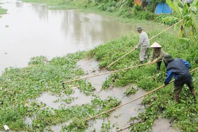 Bắc Ninh: Vận hành 217 tổ máy bơm tiêu úng cho hơn 950 ha lúa, hoa màu