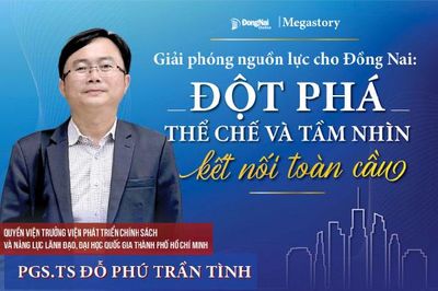 [Tuyến Megastory] Chuyên gia hiến kế cho Đồng Nai phát triển: Giải phóng nguồn lực cho Đồng Nai: Đột phá thể chế và tầm nhìn kết nối toàn cầu
