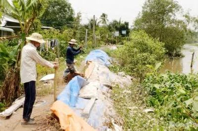 Đồng Tháp: Từ nay đến cuối năm còn 7 đợt triều cường