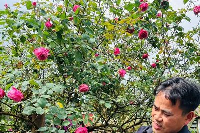 Từ bảo tồn hồng cổ Sa Pa đến “Nông dân Việt Nam xuất sắc 40 năm Đổi mới”