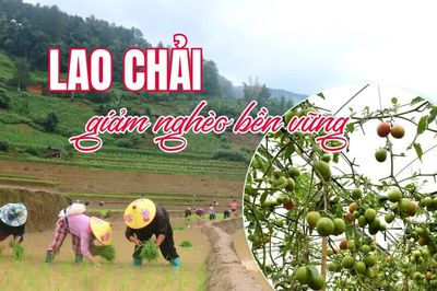 Lao Chải giảm nghèo bền vững