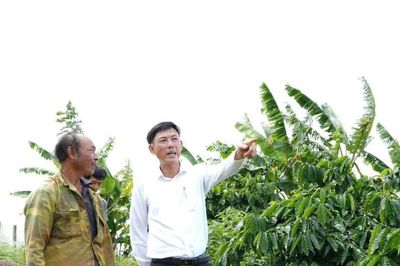 Khi HĐND ban hành nghị quyết sát thực tiễn