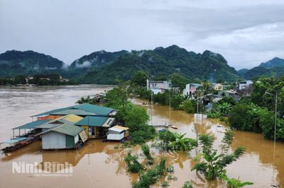 Mực nước trên sông Hoàng Long và sông Đáy tiếp tục lên, cảnh báo nguy cơ ngập lụt vùng trũng thấp