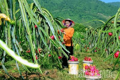 Nông nghiệp tuần hoàn - lực đẩy phát triển bền vững