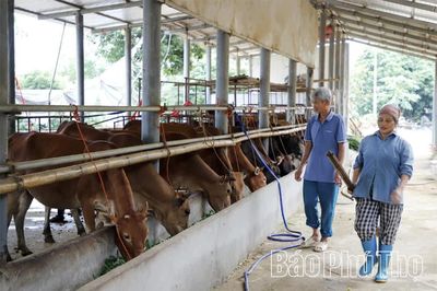 Tỷ phú nông dân giữa lòng phố thị