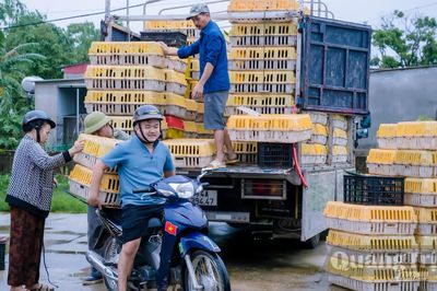 Trường Phú: Trao sinh kế cho các hộ gia đình hoàn cảnh khó khăn