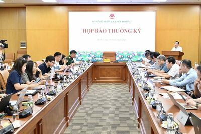 Làm sạch tối thiểu 80% dữ liệu đất đai trong năm 2026
