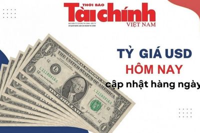Tỷ giá USD hôm nay (16/9): USD phân hóa, Fed có thể “nhập cuộc” sau 25 ngân hàng trung ương tăng lãi suất
