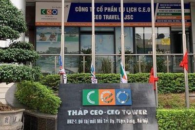 CEO báo lãi tăng gần 54% trong 6 tháng đầu năm, tiền giảm hơn một nửa