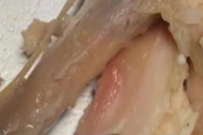 Thịt gà chưa chín, Trường THCS Hồ Văn Long đổi nhà cung cấp bữa ăn bán trú