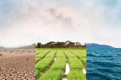 El Niño dịp cuối năm có thể mạnh tới mức nào?