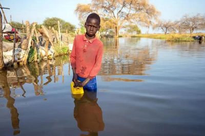 El Niño 2026 đang trở thành rủi ro toàn cầu, trẻ em là nhóm chịu tác động rõ nhất