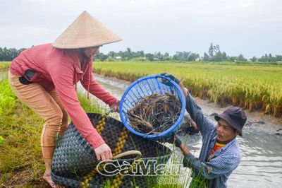 Tiếp sức nông dân chuyển đổi sản xuất