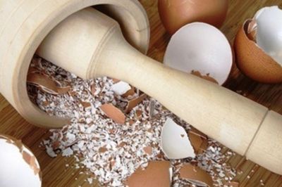 Vỏ trứng tưởng chỉ là rác nhà bếp, giữ lại mới thấy 5 công dụng bất ngờ