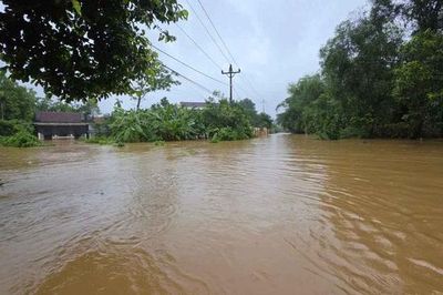 Mưa lũ làm hơn 1.068 héc-ta lúa và hoa màu của các địa phương hư hỏng