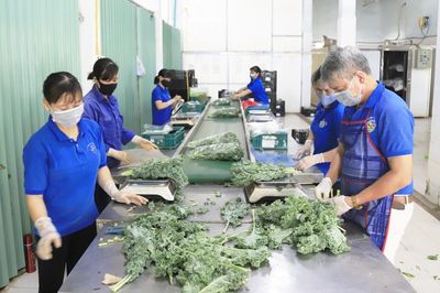 Kiểm soát an toàn thực phẩm từ vùng trồng đến thị trường