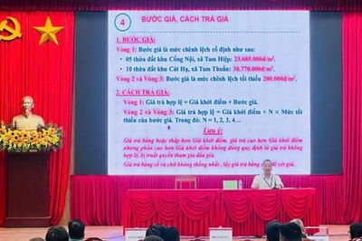 Xã Hát Môn cấm nhiều cá nhân tham gia đấu giá đất do trúng nhưng 'bỏ cọc'