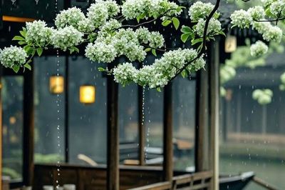 Số cuối ngày sinh Âm lịch của người càng về già càng nhiều phúc lộc