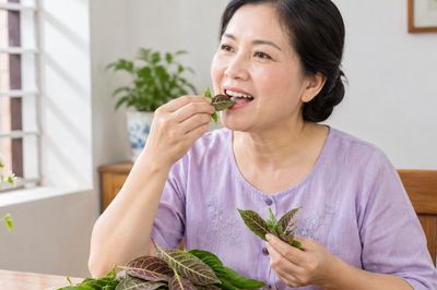 Ăn sống lá mơ lông: Những điều cần biết trước khi sử dụng