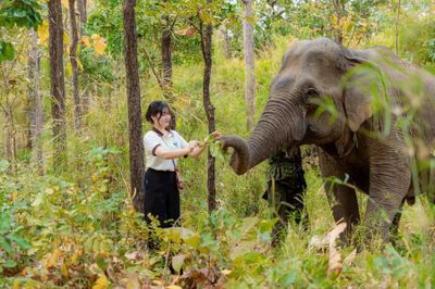 'Thắp lửa' du lịch cộng đồng