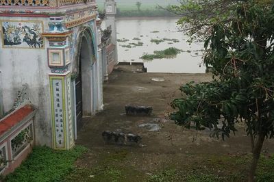 Đình Đông làng Lạc Khoái ngập sâu trong lũ sông Hoàng Long