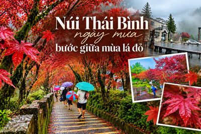 Núi Thái Bình ngày mưa, bước giữa mùa lá đỏ