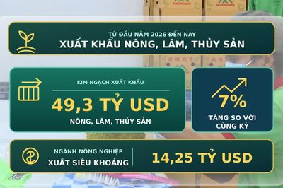 [Video] Xuất khẩu nông, lâm, thủy sản đạt 49,3 tỷ USD