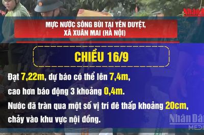 [Video] Quân và dân Hà Nội đội mưa gia cố đê, ứng phó lũ sông Bùi