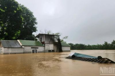 Hà Nội: Xã Quảng Bị ứng phó lũ lớn trên sông Bùi