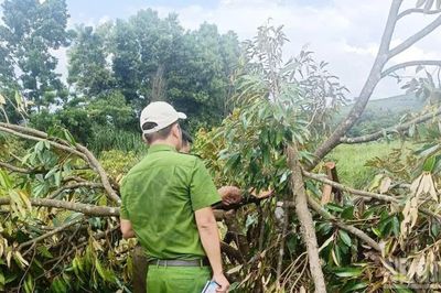 Lâm Đồng: Điều tra vụ cố ý gây thương tích tại xã biên giới Quảng Trực