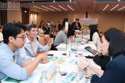 Hội thảo kết nối cung cầu doanh nghiệp Việt Nam và Thái Lan