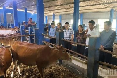 Huế xây dựng các mô hình chăn nuôi an toàn, tuần hoàn