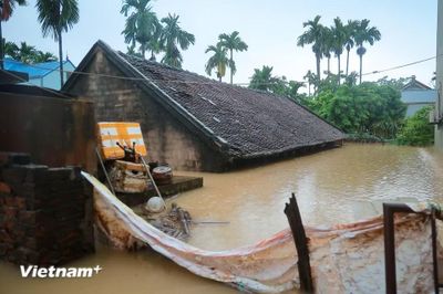 Báo động 3 trên sông Tích, sông Bùi, Hà Nội khẩn trương ứng phó với lũ