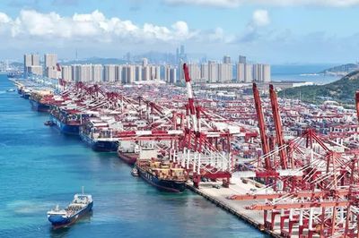 WTO cảnh báo suy yếu quy tắc thương mại đa phương