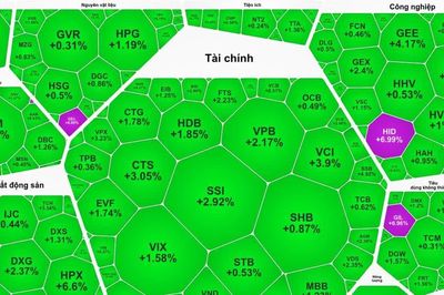 Thi trường chứng khoán Việt Nam ngược dòng thế giới
