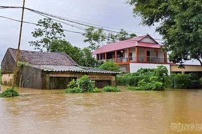 Theo dõi sát mực nước các sông ở Bắc Bộ và Thanh Hóa, sẵn sàng sơ tán dân khỏi vùng ngập sâu, sạt lở