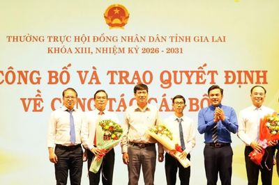Phó Bí thư Thường trực Tỉnh Đoàn giữ chức Phó Chánh Văn phòng Đoàn ĐBQH và HĐND tỉnh Gia Lai