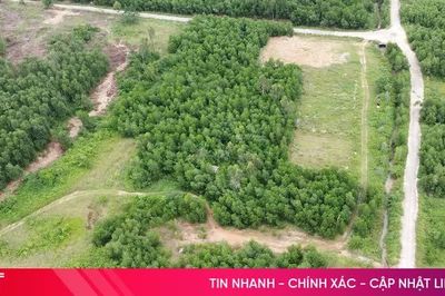 Cận cảnh vị trí xây nhà máy điện mặt trời hơn 763 tỷ đồng ở Hà Tĩnh