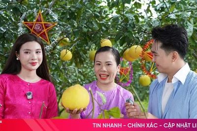 Hà Tĩnh đưa đặc sản quê hương lên sóng Mega Live