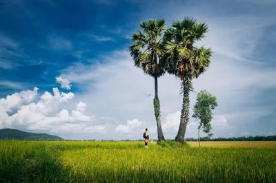 Du lịch nông nghiệp: Làm sao đưa làng quê vào chuỗi giá trị thay vì điểm 'check-in'?