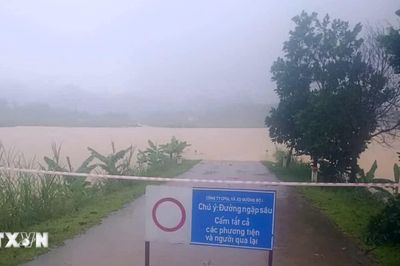 Cảnh báo lũ khẩn cấp các sông trên địa bàn tỉnh Thanh Hóa, Ninh Bình