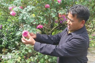 Lào Cai phát huy thế mạnh, làm giàu từ nông sản đặc hữu, công nghệ cao