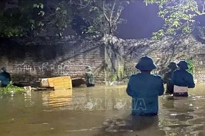 Ninh Bình hỗ trợ nhân dân phòng chống, ứng phó với mưa, lũ kéo dài