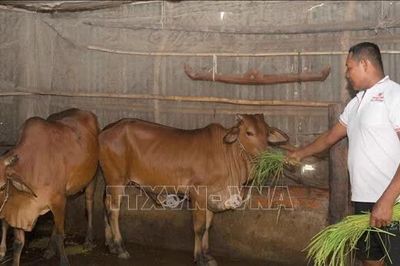 Mở lối để đồng bào Khmer vươn lên thoát nghèo